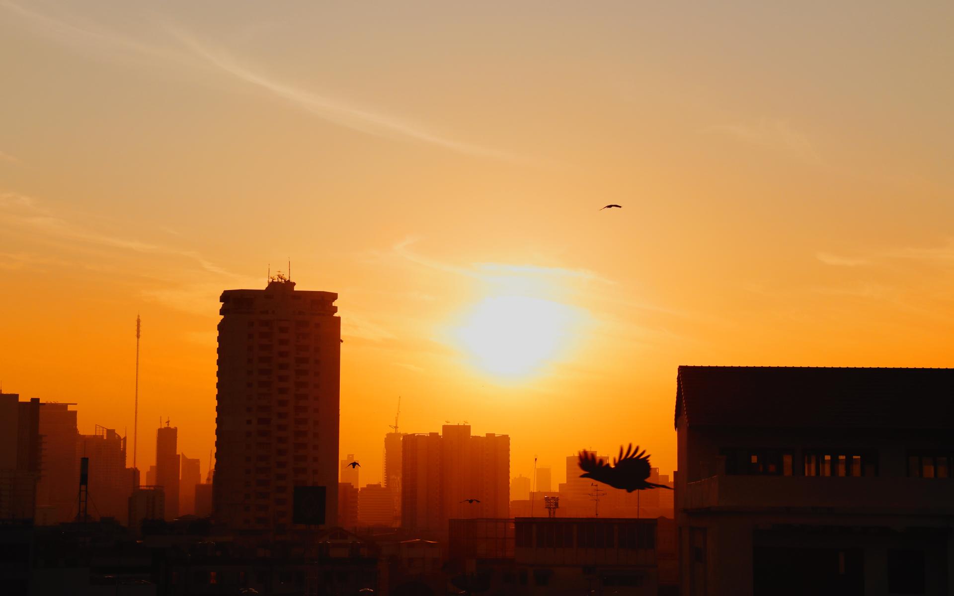 Bangkok Sunset, Talia Nat 2018