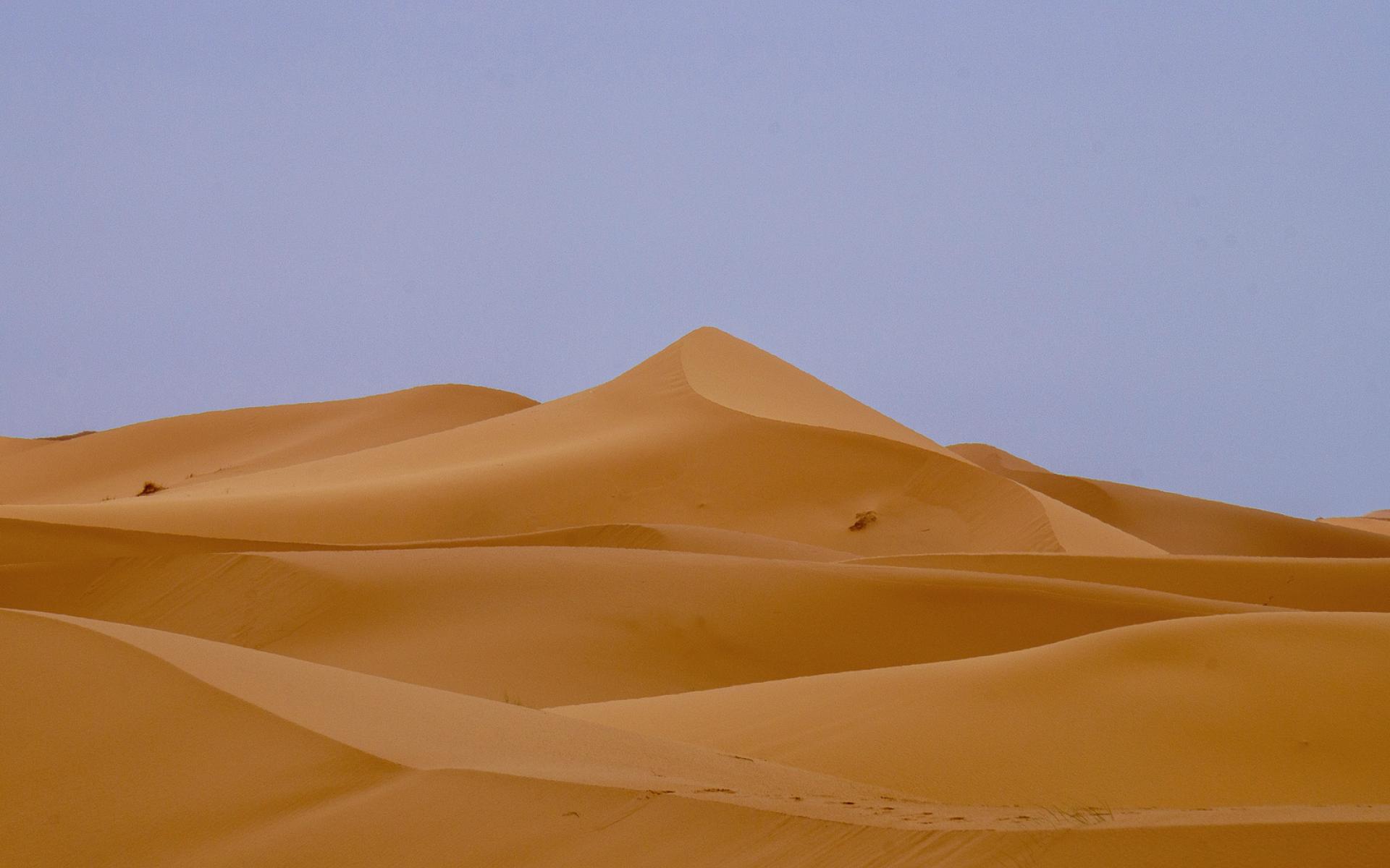 Sand dune from Sahara Dessert